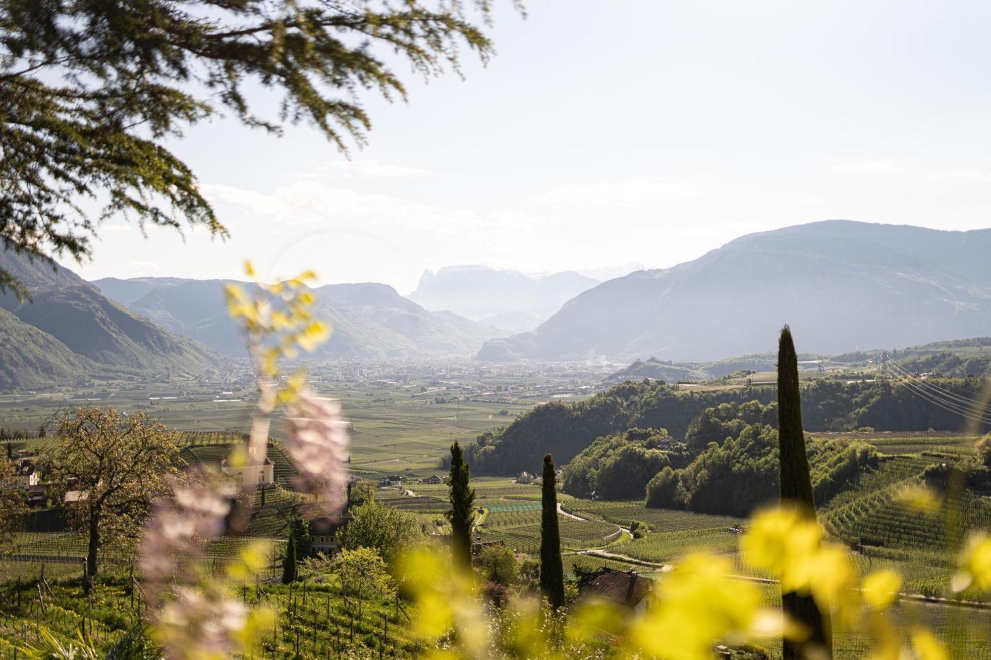 Schloss Hotel Korb Appiano Sulla Strada Del Vino Luaran gambar